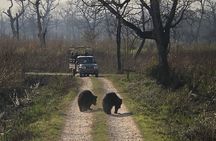 Chitwan Jungle Safari from Kathmandu and Back Multi Day Tour