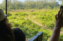 Chitwan Jungle Safari from Kathmandu and Back Multi Day Tour