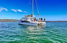Brisbane Region: Oyster Farm Tour