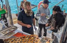 Brisbane Region: Oyster Farm Tour