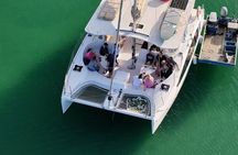 Brisbane Region: Oyster Farm Tour