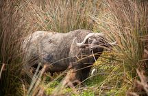 2 Day Tarangire and Ngorongoro Safari Adventure