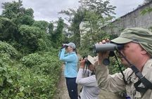 Bird Watching Tour in Cozumel