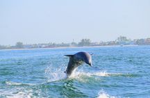 Private 12 Passenger Sunset Cruise in Anna Maria Island