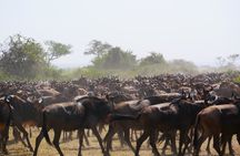 3-Day Tarangire, Ngorongoro & Lake Eyasi Safari (Hadza Experience