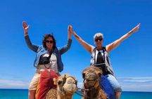 Tangier Private Half Day Experience City Tour and Camel Ride