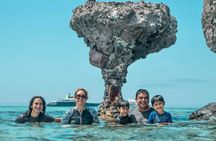 Holy Spirit Island Tour and snorkeling with sea lions