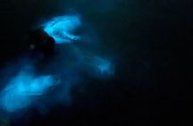 Ponce, Yauco, La Parguera & BioBay Full Day Experience 