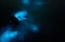 Ponce, Yauco, La Parguera & BioBay Full Day Experience 