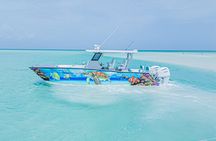  Private Island Hopping Snorkeling Adventure