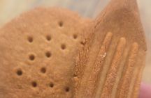 Taste of Tucson: Downtown Walking Food Tour