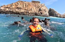 Swim with sea lions in tourist boat Palomino Islands LIMA