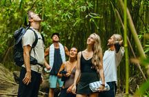 Private Road to Hana Waterfalls, Black Sand & Hidden Gems