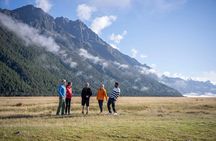 Full-Day Milford Sound Tour with Cruise and Walks from Te Anau