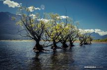 Half Day Queenstown to Glenorchy Private Photography Tour
