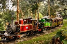 Puffing Billy, Forest Trails and Yarra Valley Discovery Tour