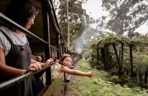Puffing Billy, Forest Trails and Yarra Valley Discovery Tour