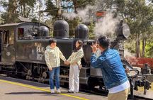 Puffing Billy, Forest Trails and Yarra Valley Discovery Tour