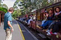 Puffing Billy, Forest Trails and Yarra Valley Discovery Tour