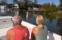 Manatee and Wildlife Boat Tour
