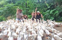Paradise, Phong Nha Caves and Duck Farm Tour