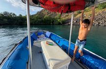 Double Reef Snorkel and Dolphin Watch in Kona