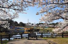 Sakata Private Shore Excursion – Yamagata Highlights