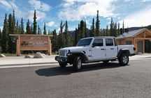 Denali Self-Drive Jeep Rental – Explore at Your Own Pace