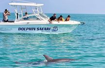 Dolphin Watching and Snorkeling Key West