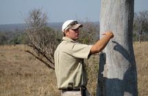 Hluhluwe Imfolozi Big 5 Reserve day Safari from Durban