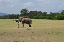 2-Day Selous Safari from Zanzibar