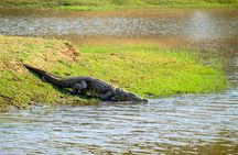 2-Day Selous Safari from Zanzibar