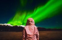 Reykjavik Northern Lights BusTour with Surprise and English Guide