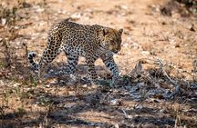 2-Day Nyerere Safari from Dar es Salaam