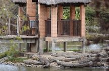 Madagascar Day Tour Lemurs Park and Croc Farm from Antananarivo