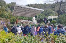 Private Guided Tour in Seven Churches of Revelation