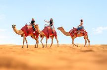 Dubai Red Dunes Safari with Dune Bashing, Camel Ride, BBQ Dinner
