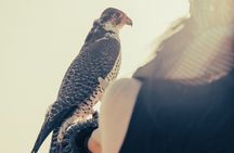 Dubai Red Dunes Safari with Dune Bashing, Camel Ride, BBQ Dinner