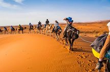 Sunset in Agafay Camel and Quad Adventure with Moroccan Dinner