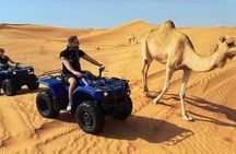 Desert Safari with Quad Bike, Buggy, Dune Bashing & Camel Ride
