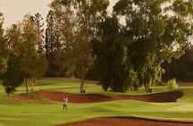 7-Day Marrakech Golf Activity: A Full Week Premium 18-Hole Rounds