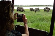 10 Day Kruger Park Safari And Community Service