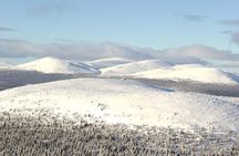 Levi Arctic Snowshoe Experience