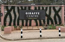 Giraffe Centre visit Nairobi