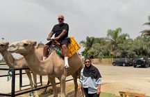 Quad Biking Adventure with Moroccan Tea in Fes