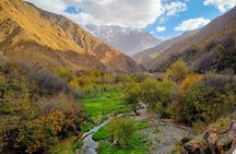 Private Day Trip Ourika Valley All Inclusive 