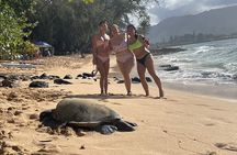 Oahu Family Adventure: Circle Island Tour + Byodo-in Temple