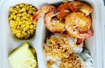 Oahu Family Adventure: Circle Island Tour + Historic Pali Lookout