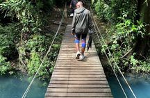 Hike to Río Celeste Waterfall in Tenorio Volcano National Park