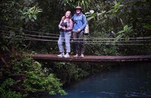 Hike to Río Celeste Waterfall in Tenorio Volcano National Park